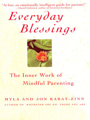 cover image of Everyday Blessings